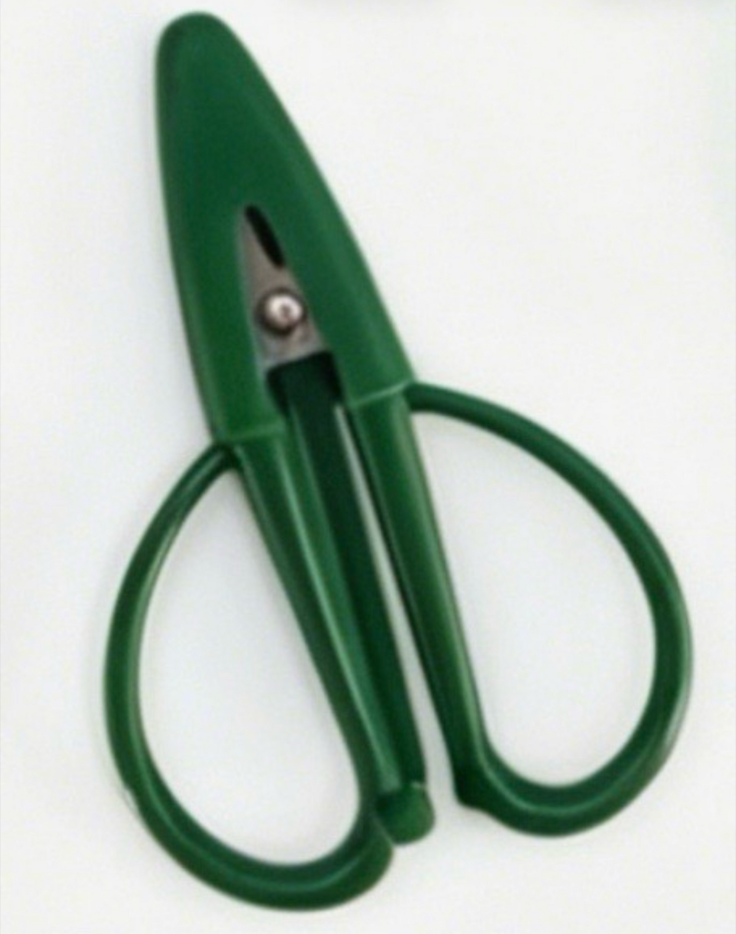 Green mini scissors with silicone protective cover