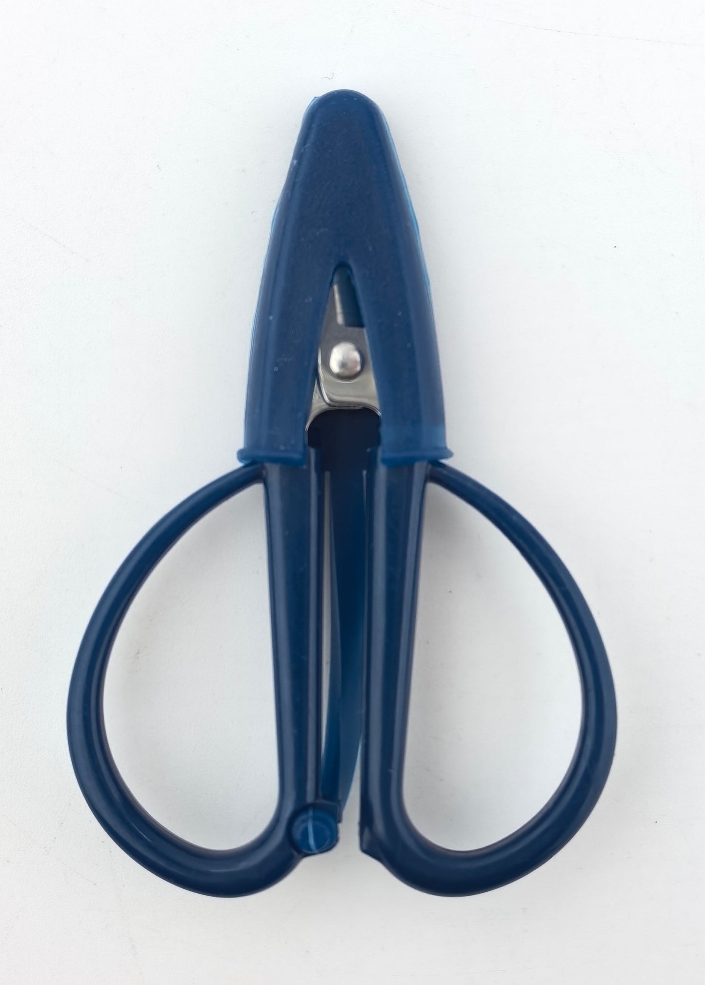 Navy Scissor